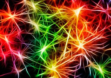 Interconexión digital