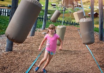 Obstáculos transformación digital